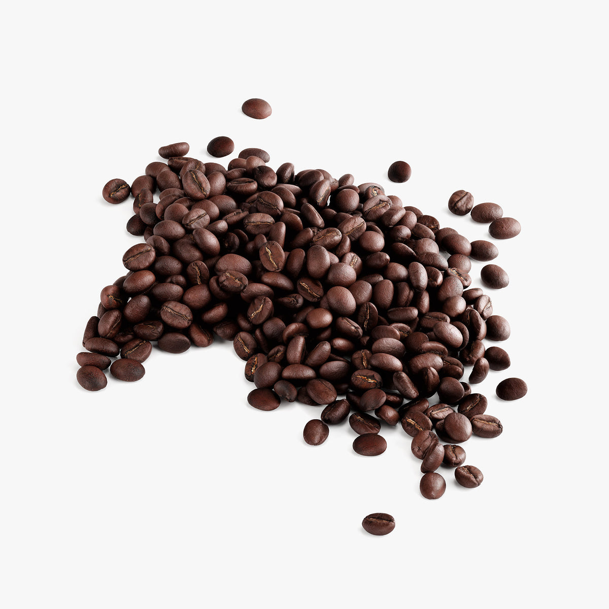 Zyra Harvest Cocoa - Christmas Coffee Blend